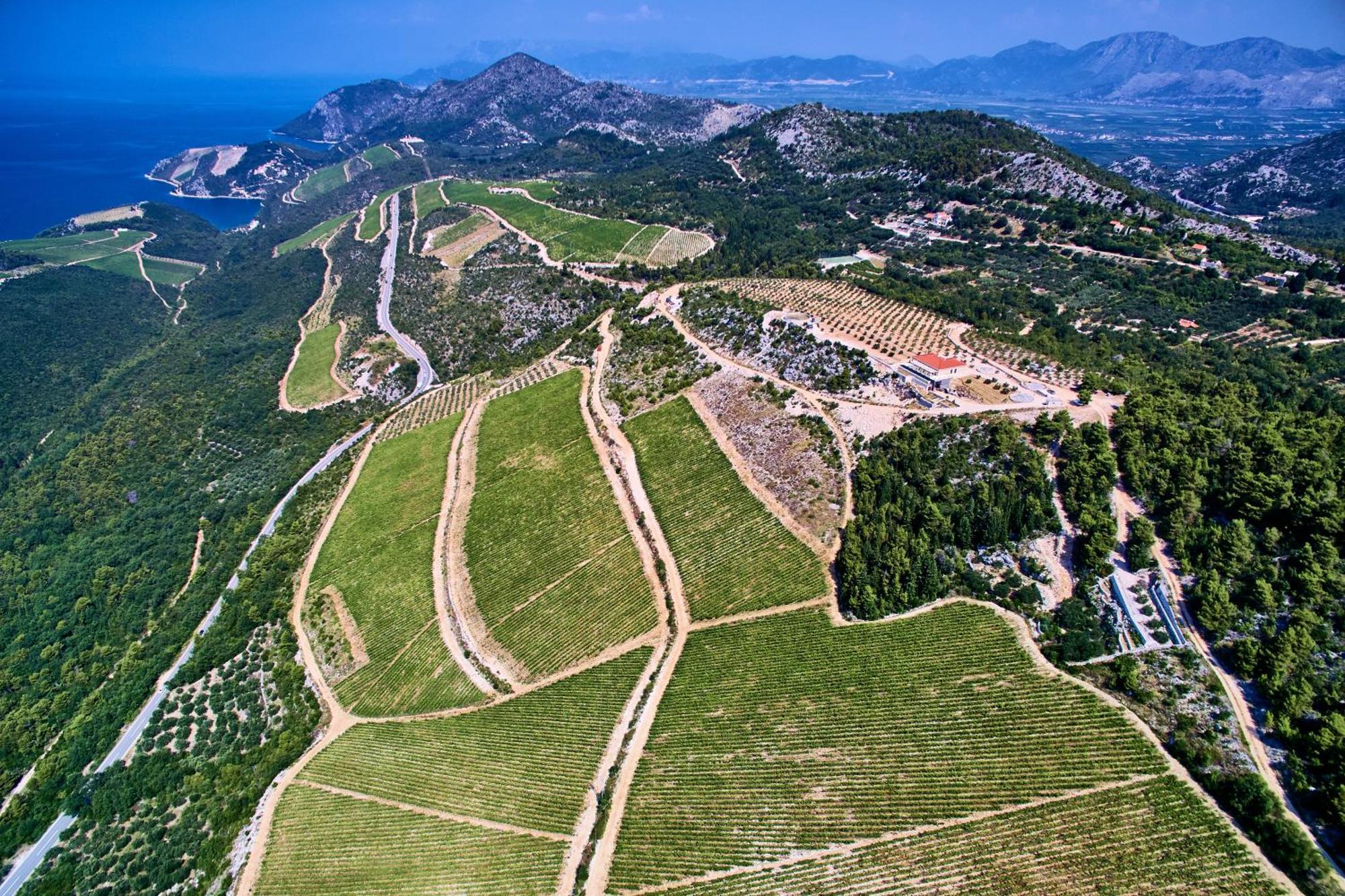 Winery Rizman B&B Slivno Ravno Eksteriør bilde